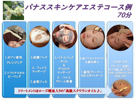 パナスエステコース